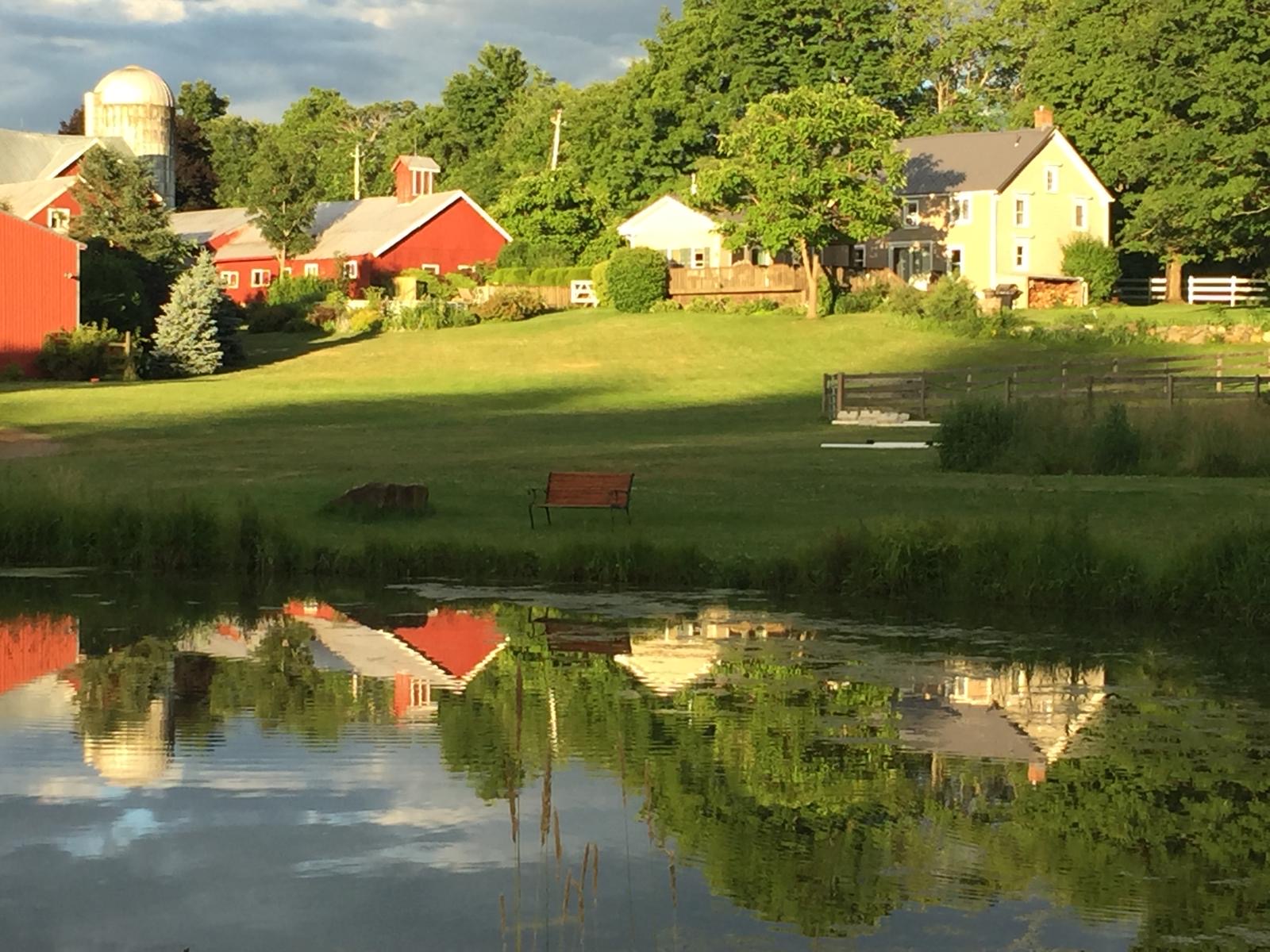 Peaceful rural scene with a pond, red barn, and green fields.