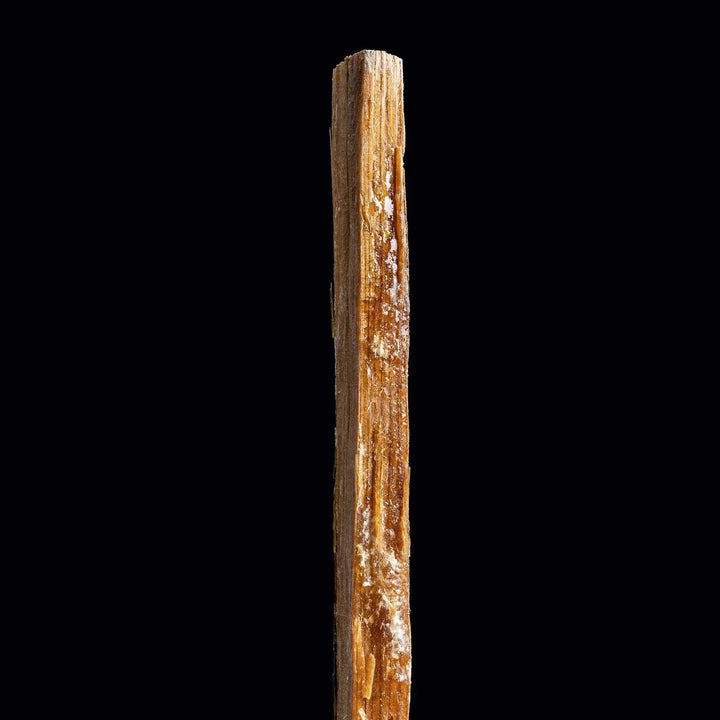 Close up picture of fat wood showing the resin.