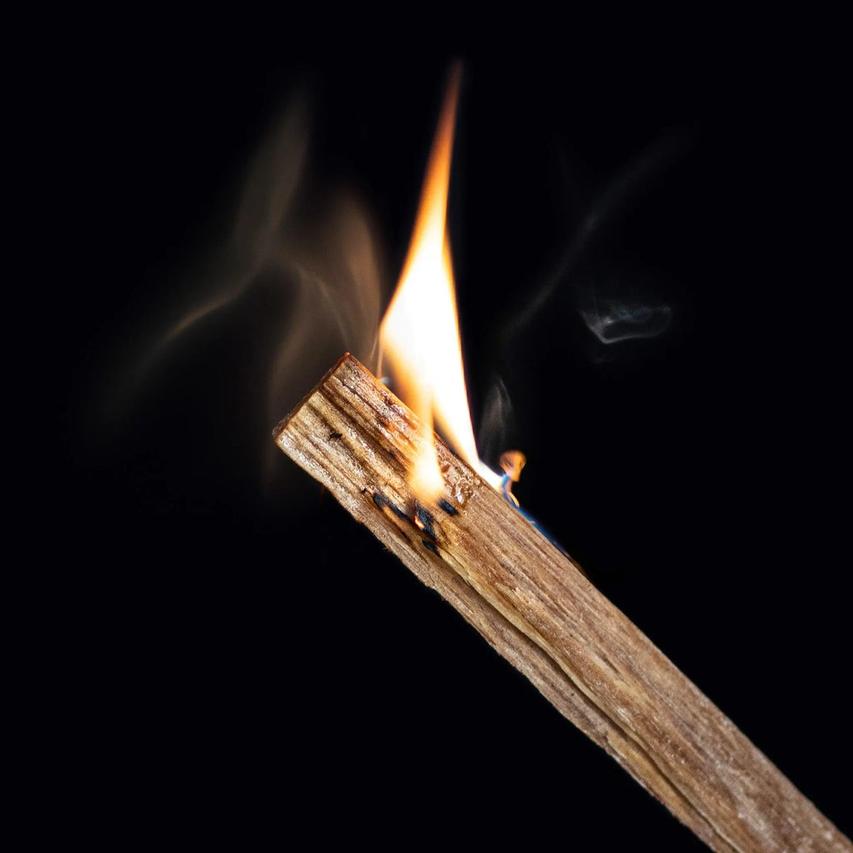 Bison natural Fatwood fire starters