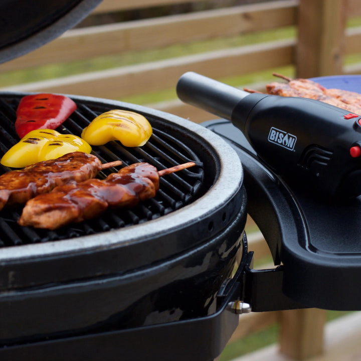 Image of Airlighter 420 next to grill with meat.